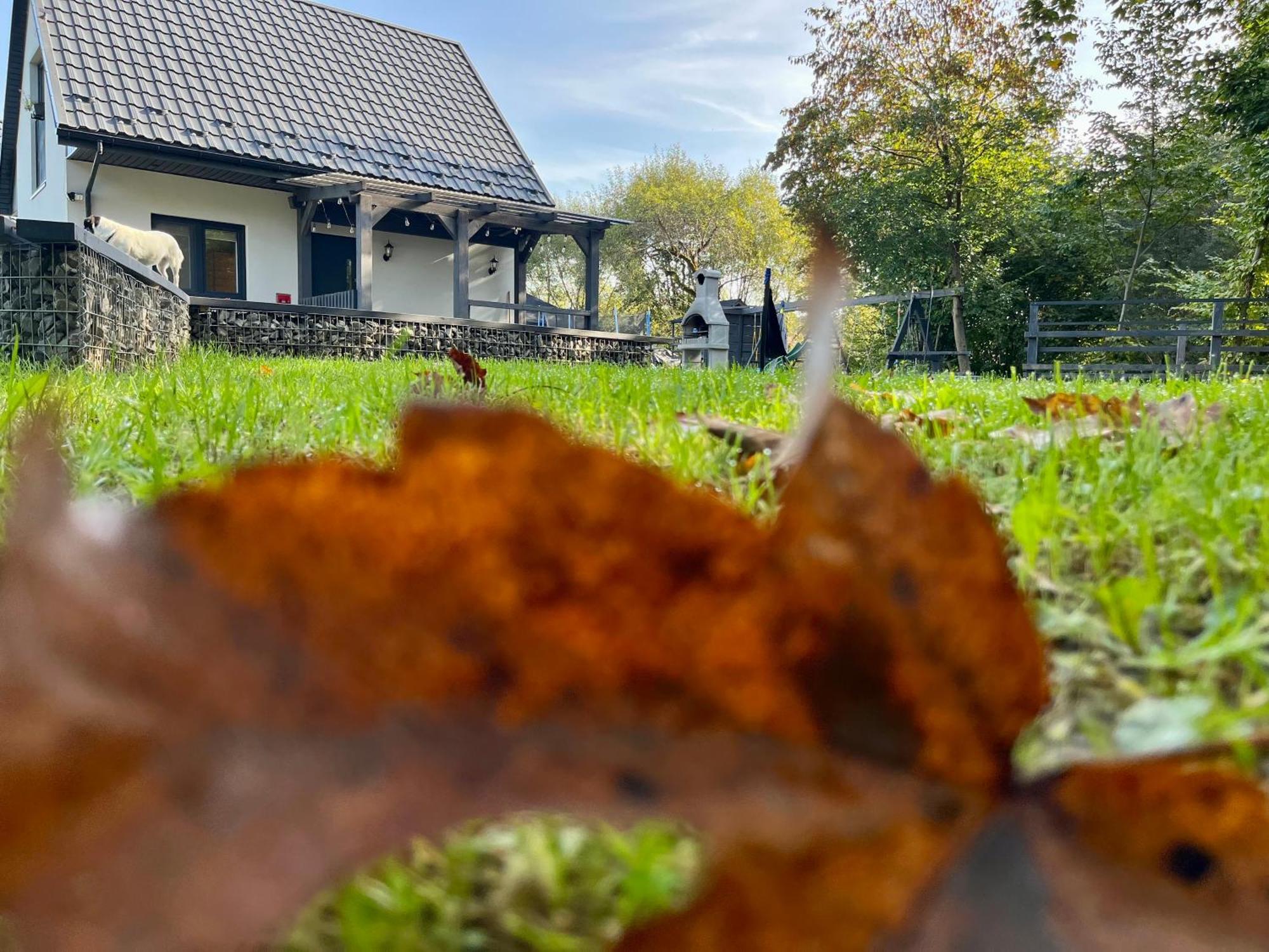 Domki Nad Starym Potokiem 下乌斯奇基 外观 照片